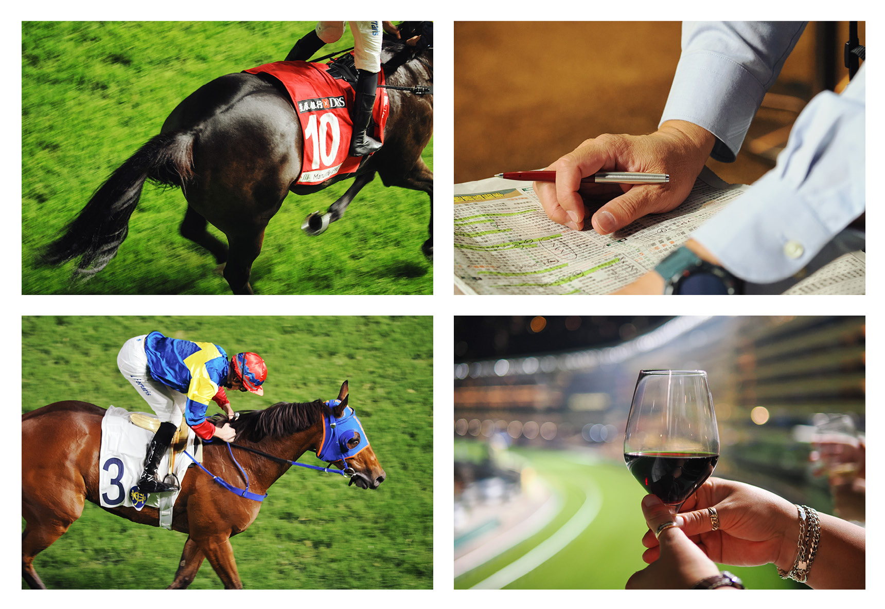 Collage of photos with horse racing scenes